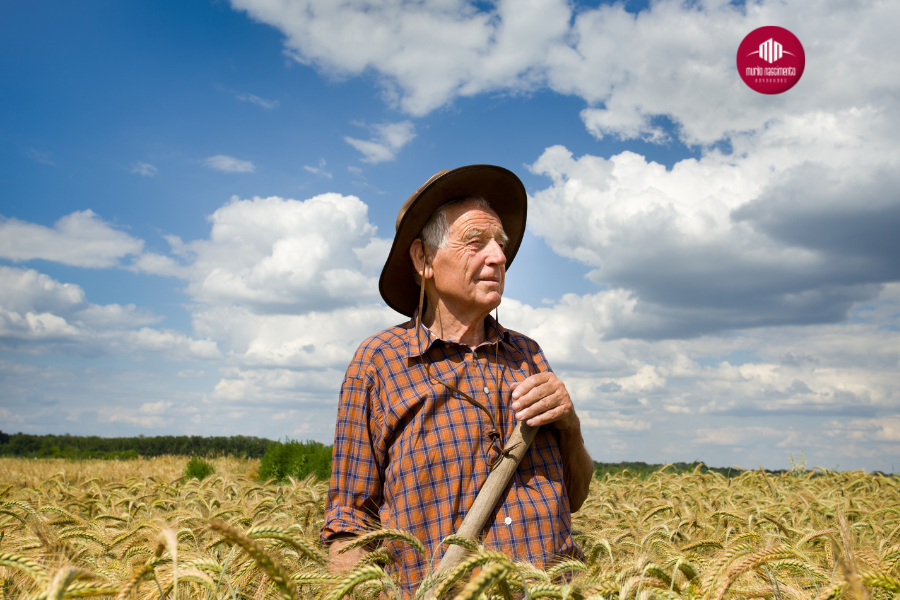 Tempo rural para aposentadoria: Saiba como comprovar!